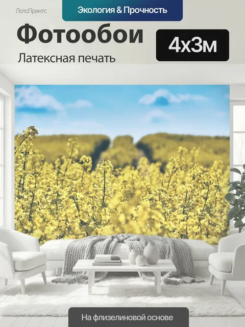 400 × 300 см · Латексная печать