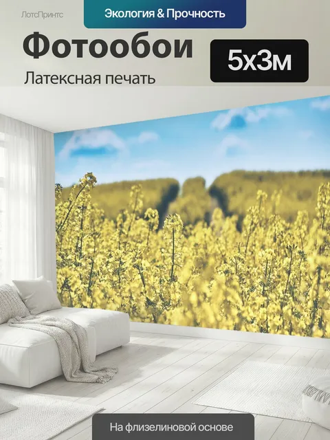 500 × 300 см · Латексная печать