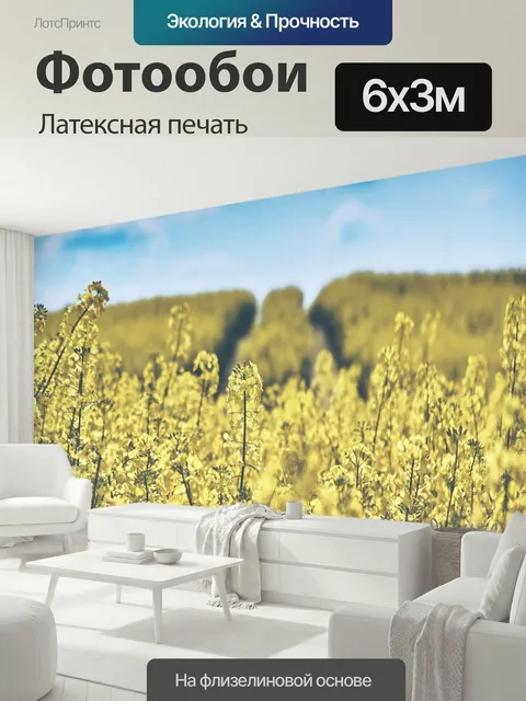 600 × 300 см · Латексная печать