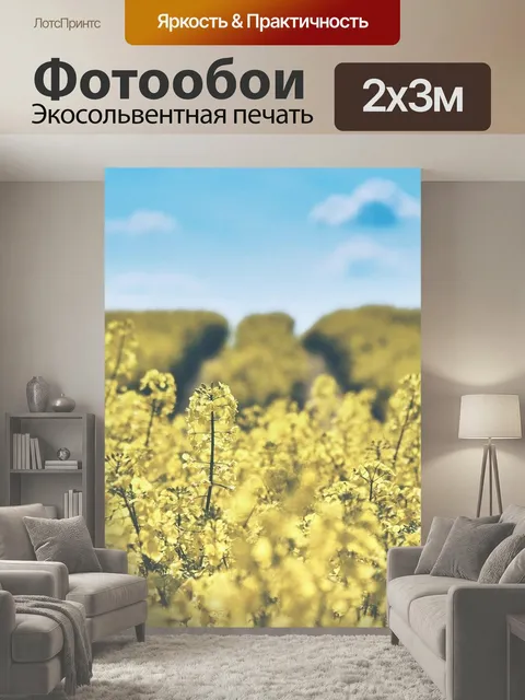 200 × 300 см · Экосольвентная печать