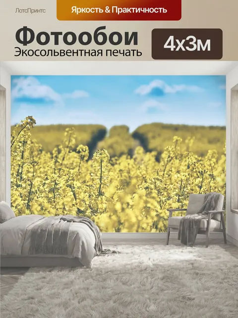 400 × 300 см · Экосольвентная печать