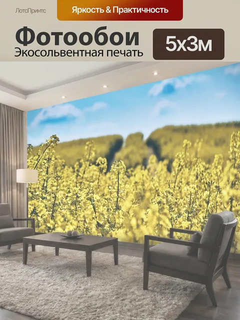 500 × 300 см · Экосольвентная печать