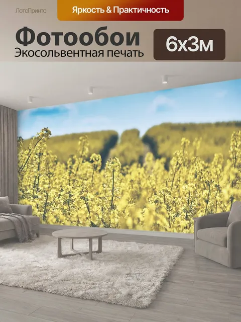 600 × 300 см · Экосольвентная печать