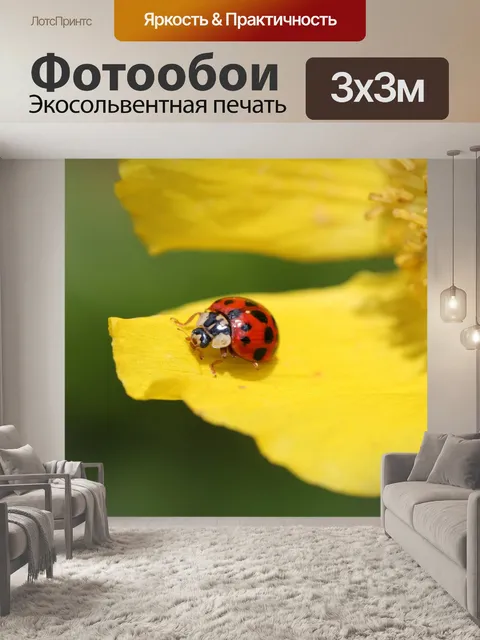 Фотообои Божья коровка, цветок, цвести