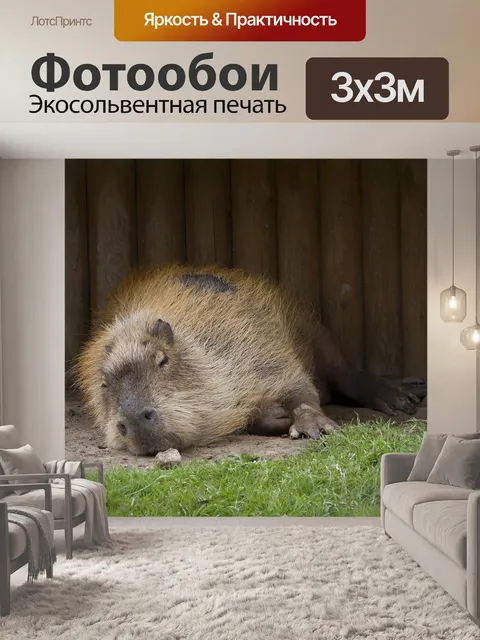 Фотообои Капибара, грызун, дикая природа