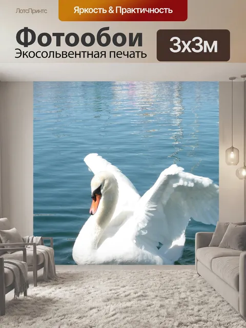 Фотообои Лебедь, расправить крылья, домашнее животное
