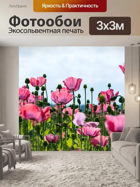 Фотообои Мак, цветок, розовый мак