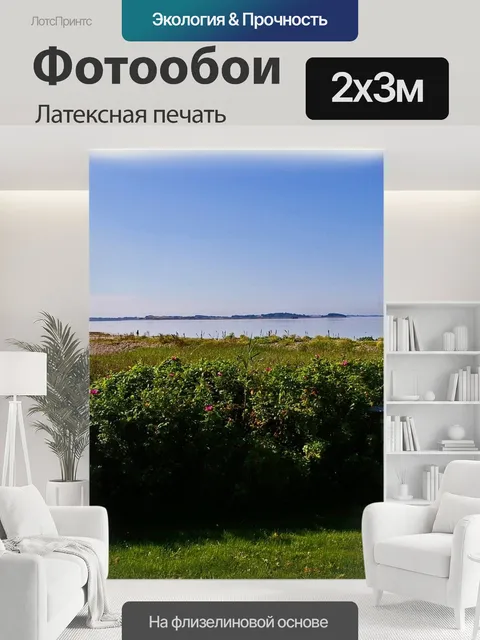 200 × 300 см · Латексная печать
