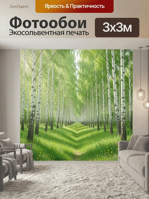 Фотообои Березовая аллея в летнем свете. Светлая лесная сцена с высокими белоствольными деревьями, зеленой листвой и ц…