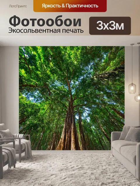 Фотообои Древние тропические растения, спускающиеся с высоких деревьев, образующие огромный зеленый купол