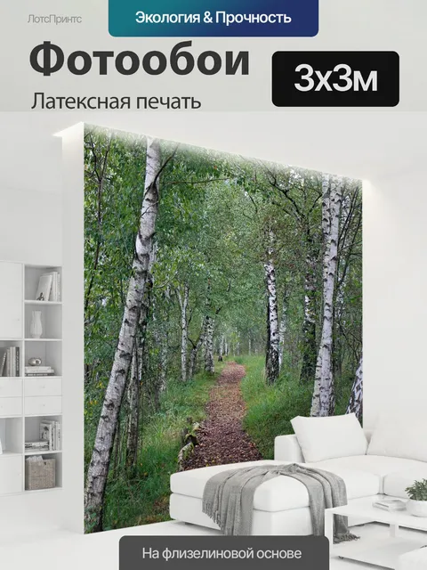 300 × 300 см · Латексная печать