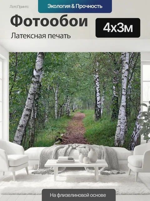 400 × 300 см · Латексная печать