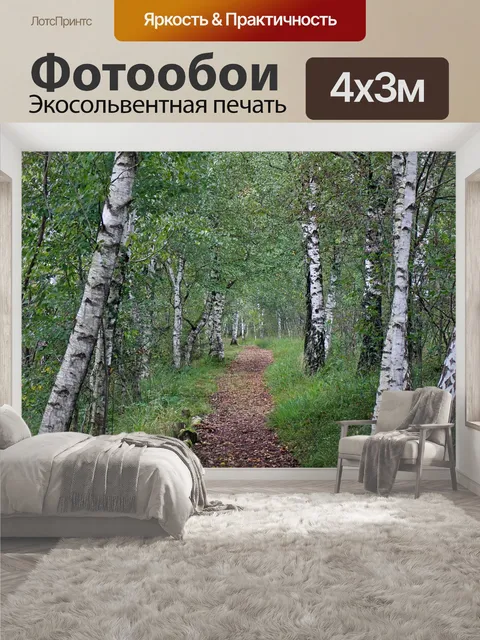 400 × 300 см · Экосольвентная печать