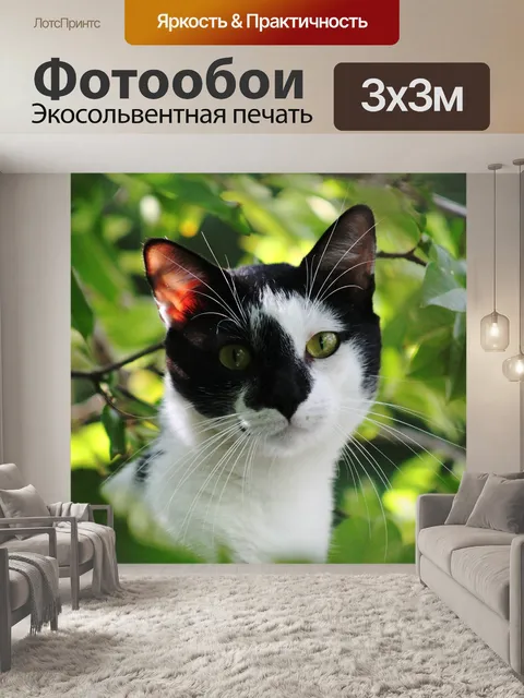 Фотообои Кот, природа, животные