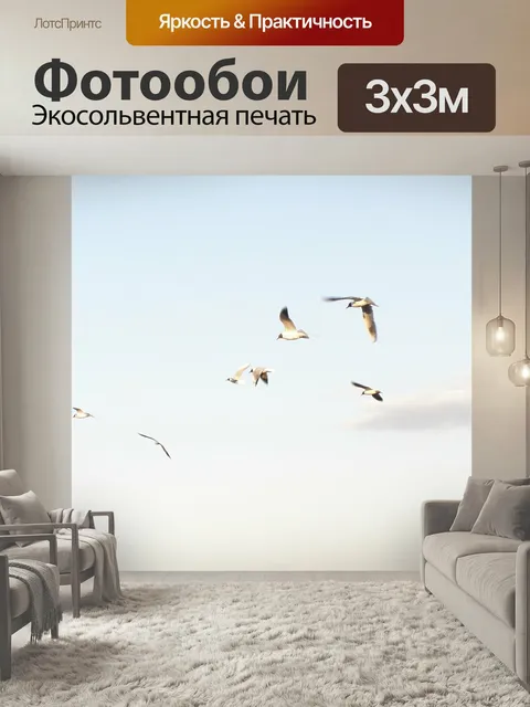 Фотообои Чайки, летающий, весна