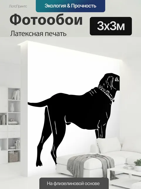 300 × 300 см · Латексная печать