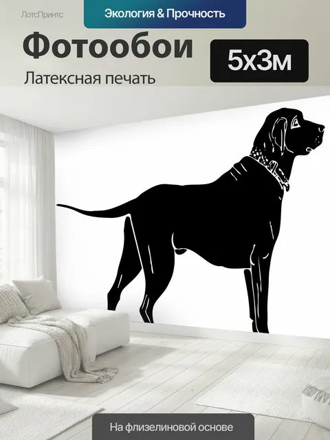 500 × 300 см · Латексная печать