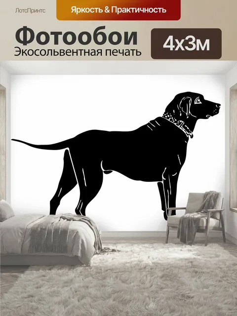 400 × 300 см · Экосольвентная печать