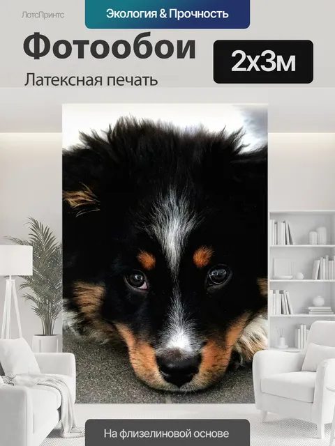 200 × 300 см · Латексная печать