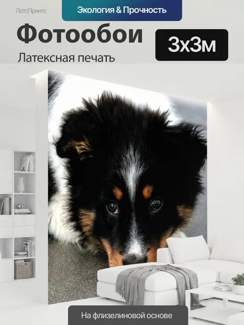 300 × 300 см · Латексная печать