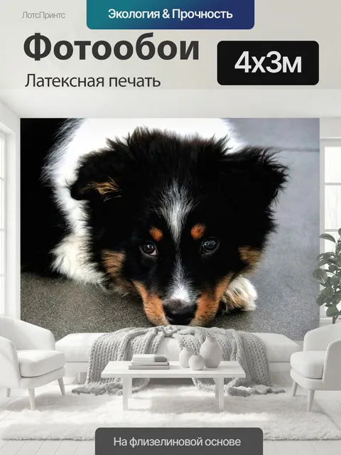 400 × 300 см · Латексная печать