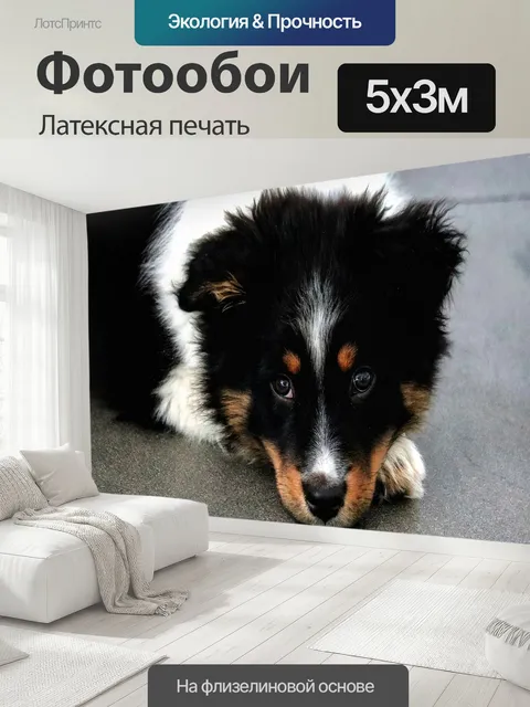 500 × 300 см · Латексная печать