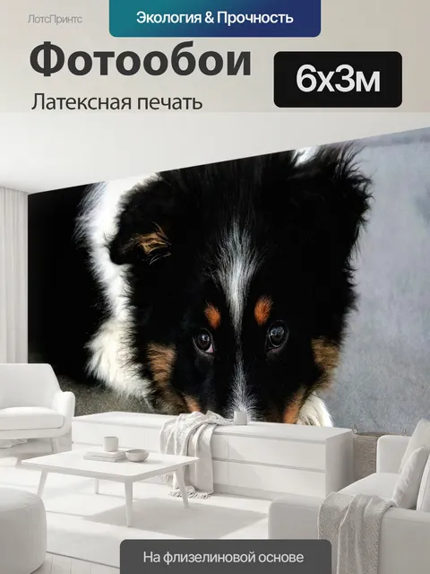 600 × 300 см · Латексная печать