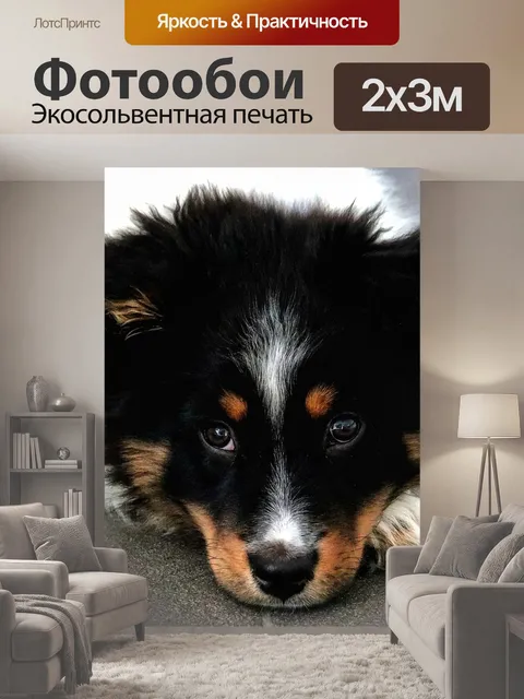 200 × 300 см · Экосольвентная печать
