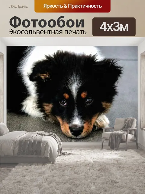 400 × 300 см · Экосольвентная печать