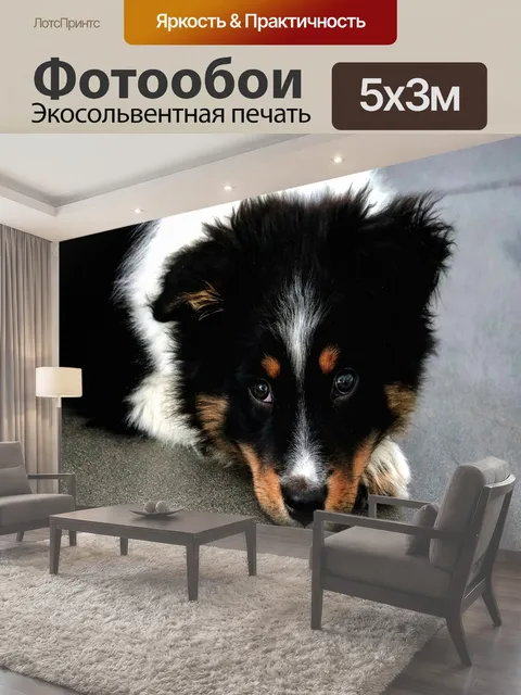 500 × 300 см · Экосольвентная печать