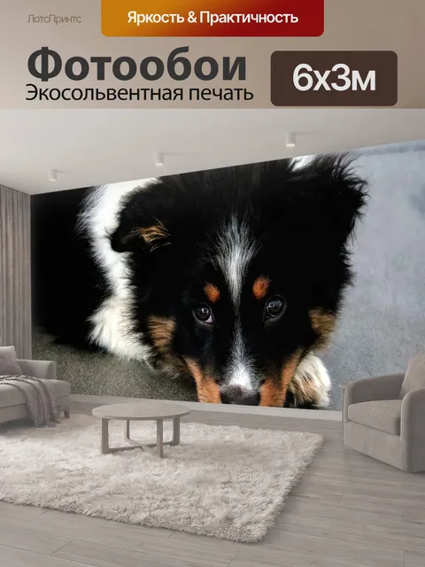 600 × 300 см · Экосольвентная печать