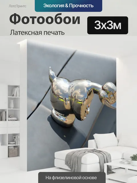 300 × 300 см · Латексная печать