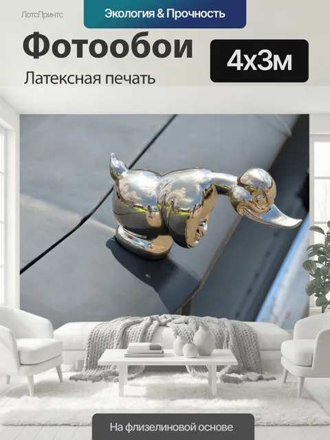 400 × 300 см · Латексная печать