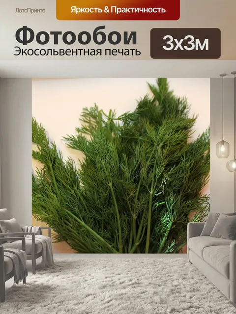 Фотообои Укроп, зеленый, приправа