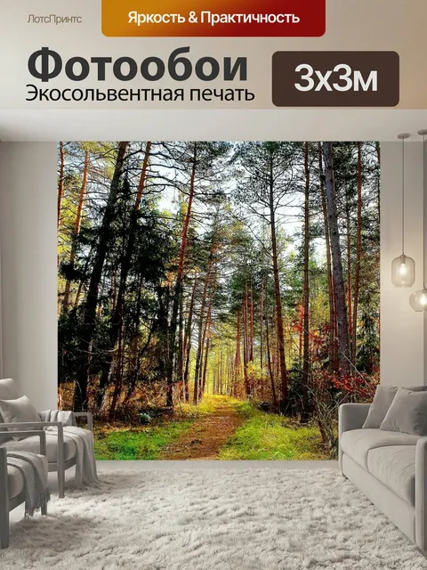 Фотообои Осень, лес, деревья