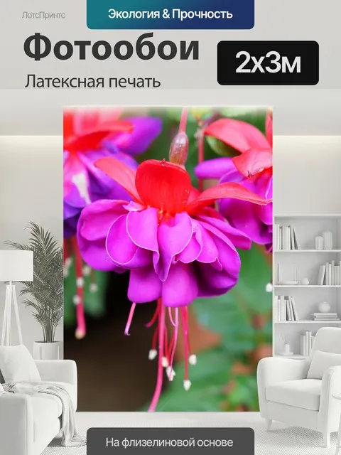 200 × 300 см · Латексная печать