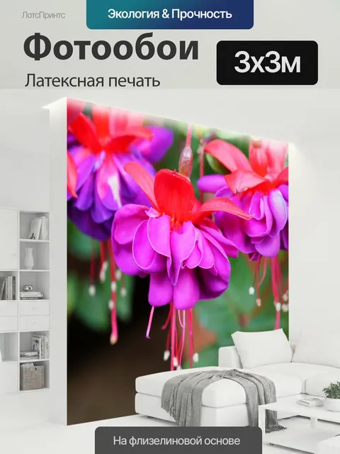 300 × 300 см · Латексная печать