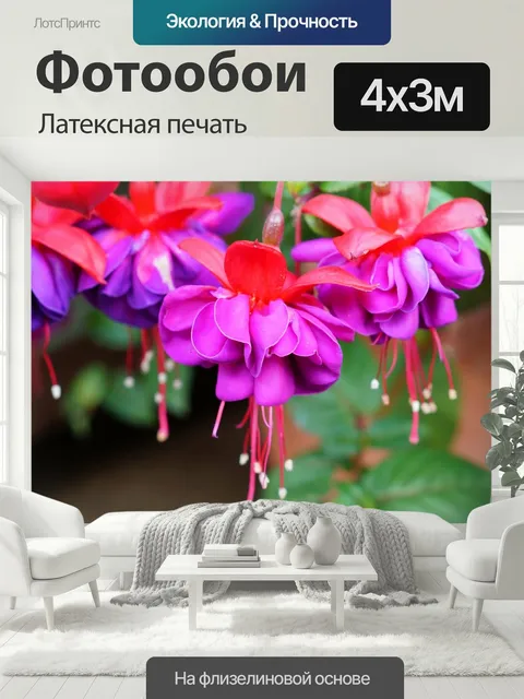 400 × 300 см · Латексная печать