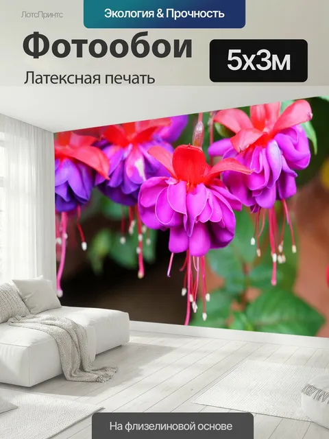 500 × 300 см · Латексная печать