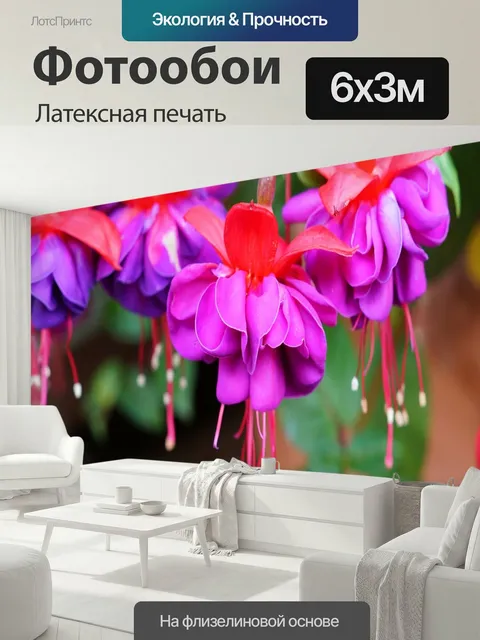 600 × 300 см · Латексная печать