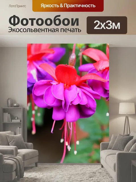 200 × 300 см · Экосольвентная печать