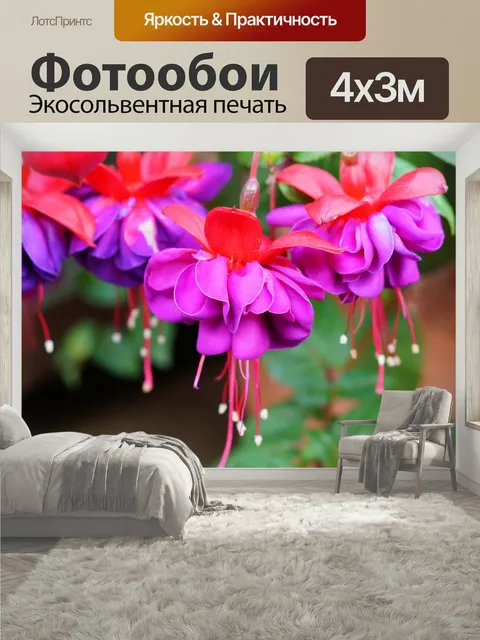 400 × 300 см · Экосольвентная печать