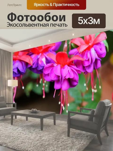 500 × 300 см · Экосольвентная печать
