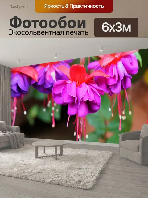 600 × 300 см · Экосольвентная печать