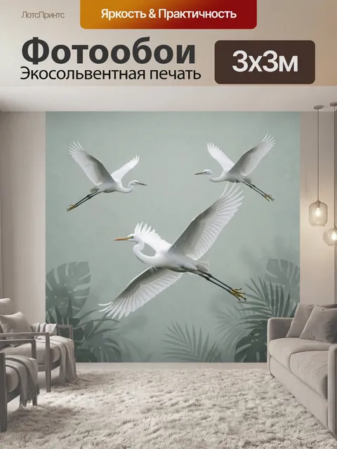 Фотообои Белые цапли в полёте. Три изящные птицы с расправленными крыльями в тропической дымке, мягкие серо-зелёные от…