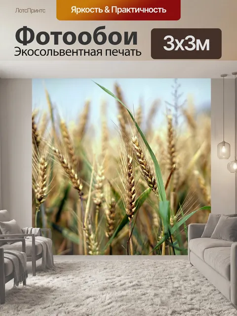 Фотообои Пшеница, пшеничное поле, кукурузное поле