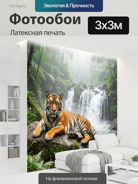 300 × 300 см · Латексная печать