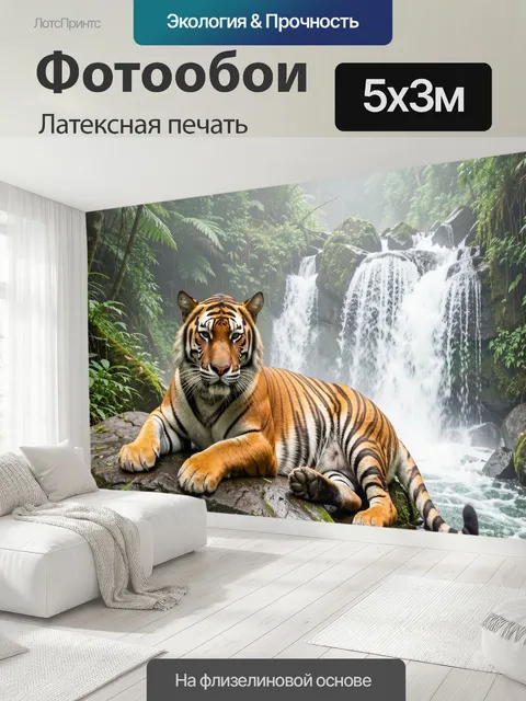 500 × 300 см · Латексная печать