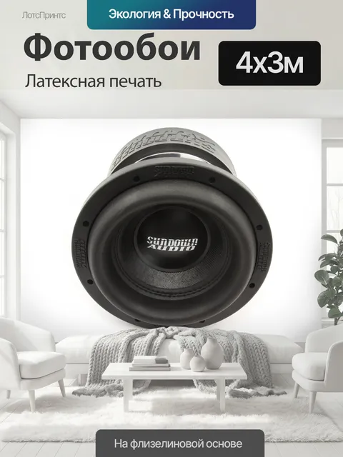 400 × 300 см · Латексная печать