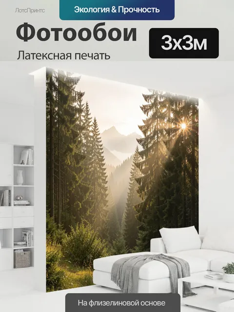 300 × 300 см · Латексная печать